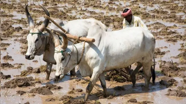 admk support farmers bill tamil nadu politics news