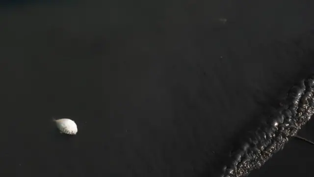 கொற்றலை ஆறு