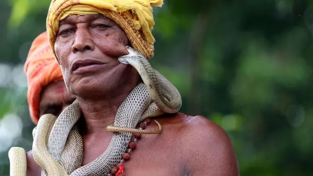 પ્રતીકાત્મક તસવીર