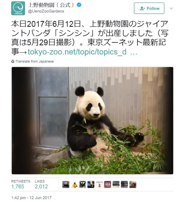 上野动物园Twitter截屏