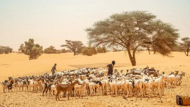 L'ère du commerce transsaharien a amené de nombreux groupes ethniques différents en Mauritanie