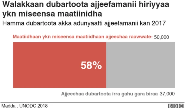 Dubartoota maatiin ykn firaan ajjeefaman