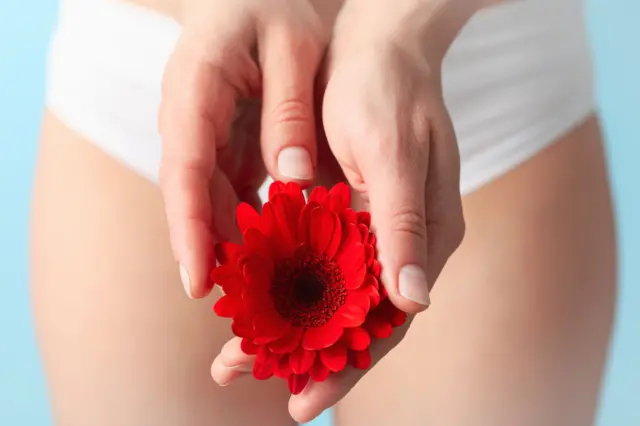 Woman in panties holding gerbera, close up.
