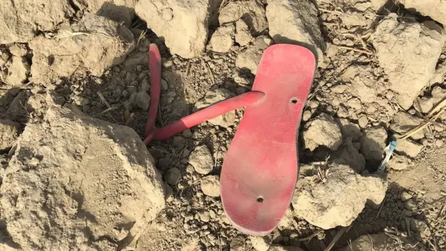 హాపుర్, హిందు, ముస్లింలు, గోవు, మొహమ్మద్ ఖాసిమ్