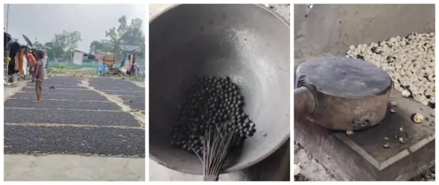 বীজ শুকিয়ে শুকনো কড়াইতে ভেজে তারপরে হাতুড়ি দিয়ে ভেঙ্গে তৈরি হয় খাওয়ার উপযোগী মাখানা