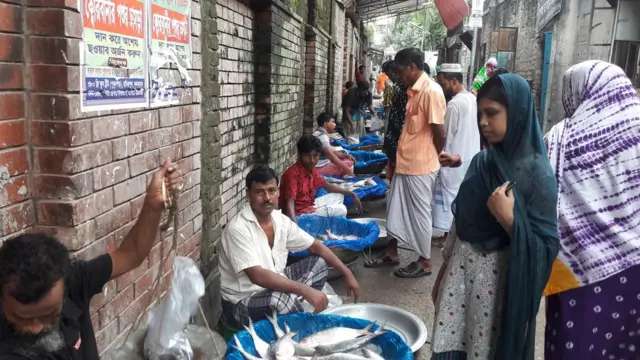 ইলিশ মাছের দাম চলতি বছর তুলনামূলক সস্তা ছিল।