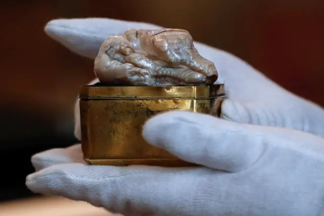 નેધરલેન્ડના હેગ શહેરમાં લિલામ પહેલાં પ્રદર્શિત કરવામાં આવેલું વિશ્વનું મીઠા પાણીનું સૌથી મોટું મોતી સ્લીપિંગ લાયન પર્લ