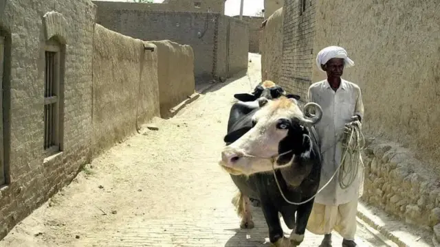 મનમોહનસિંહ, ભારતના પૂર્વ વડા પ્રધાન પ્રધાન મંત્રી, અંતિમસંસ્કાર, અંતિમક્રિયા, અંતિમવિધિ, પાકિસ્તાનમાં જન્મ, પ્રોફાઇલ, પાકિસ્તાન 