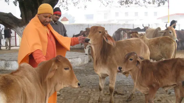 योगी आदित्यनाथ, धर्म, हिंदू, उत्तर प्रदेश