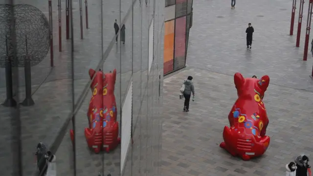 कोरोना वायरस