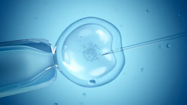 Ilustración de una fertilización in vitro