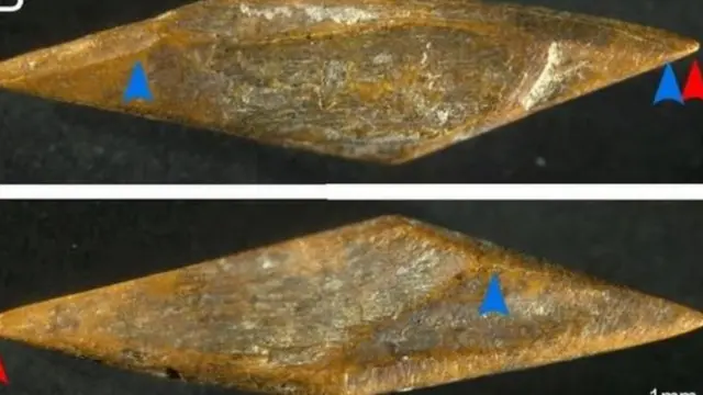 இலங்கை அகழாய்வில் ஆதிமனிதர்களின் 48,000 ஆண்டுகளுக்கு முந்தைய ஆயுதங்கள்