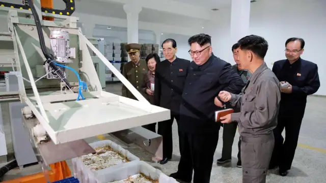 김정은 위원장은 2017년 4월 평양버섯공장을 시찰했다