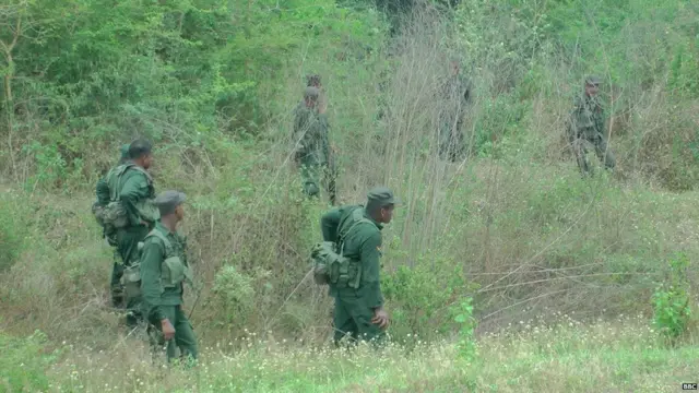 මත්තල සතුන් එලවීමේ මෙහෙයුම