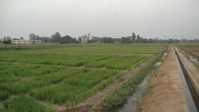 પ્રતીકાત્મક તસવીર