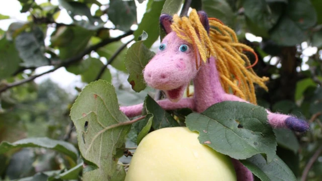 Новаторфільм Novatorfilm Анімація stopmotion