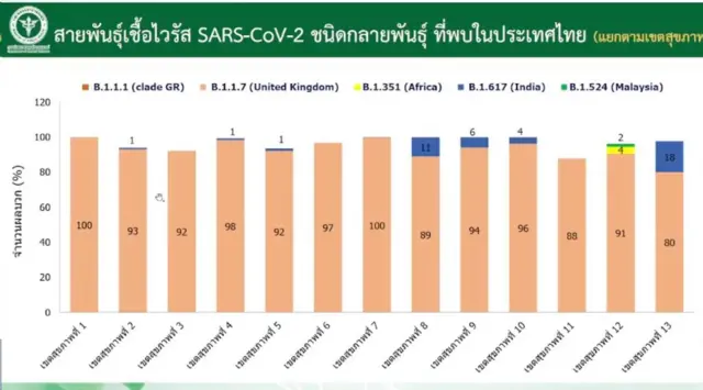 สายพันธุ์เชื้อไวรัสชนิดกลายพันธุ์ที่พบในไทย