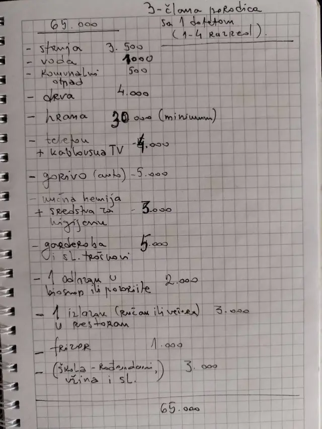 Svetlana Stanojković, prihodi