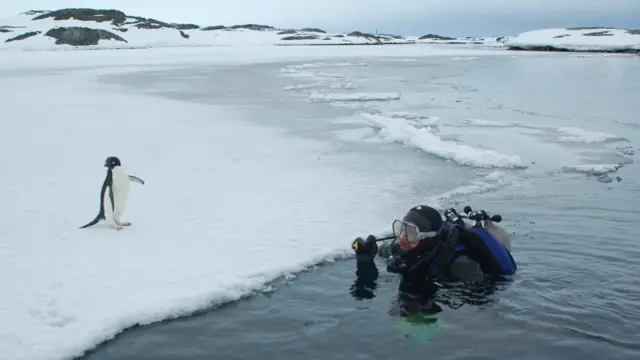 Андрій Утєвський