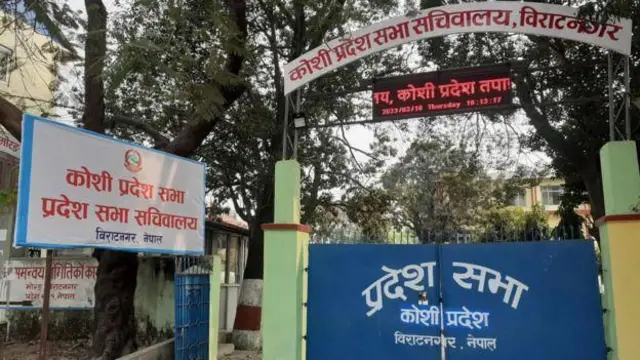 साङ्केतिक तस्बिर 