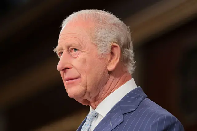 Крупний портрет Чарльза у формальному костюмі в тонку смужку та світлій краватці. Голова злегка повернута вбік, обличчя показане в профіль. Тло темне й розмите, що підкреслює риси обличчя та офіційний характер зображення.