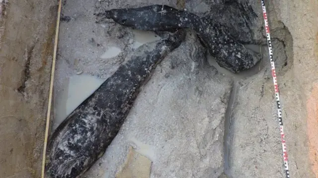 Des rondins de bois dans le sable.