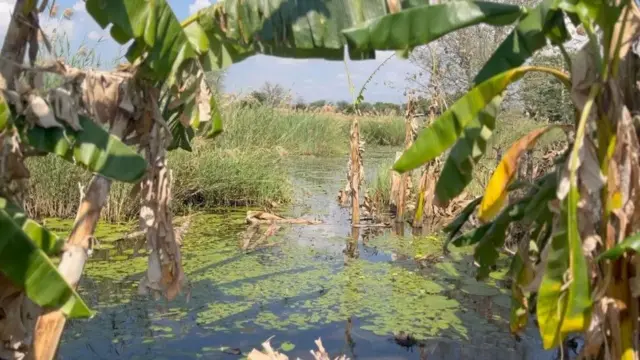 Le lac Malawi est le deuxième plus grand lac d'Afrique.