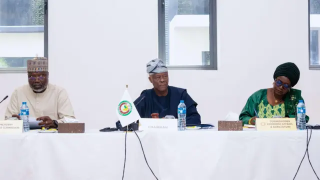 Wale Edun, Nigeria Minister of Finance (centre) chairing the 11th ECOWAS Convergence Council in Abuja, March 3, 2025