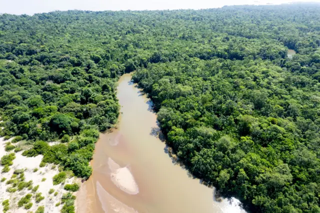 Pemandangan Udara hutan Amazon, Brasil. 
