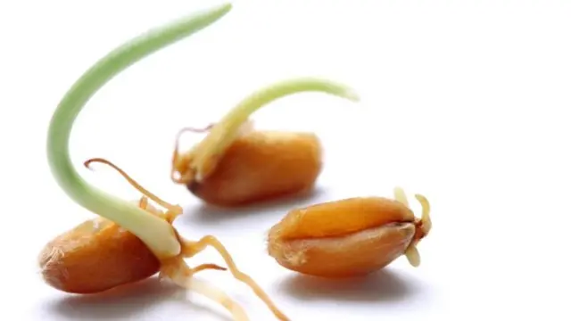 பெண்கள், கர்ப்பம், குழந்தைப்பேறு, மருத்துவம்