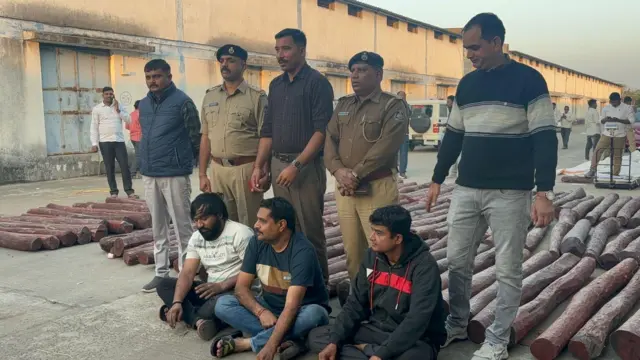 લાલ ચંદન, ચંદનચોર, ગુજરાત, પાટણ, ચોરી, બીબીસી ગુજરાતી