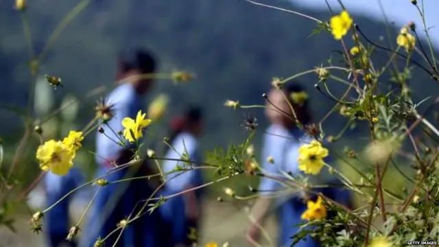 प्रातिनिधिक फोटो