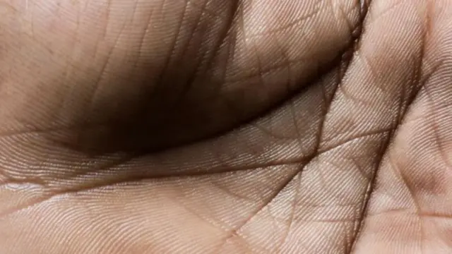 Bakteeriyada Maqaarka