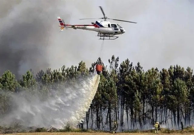 اتش سوزی در جنگل 