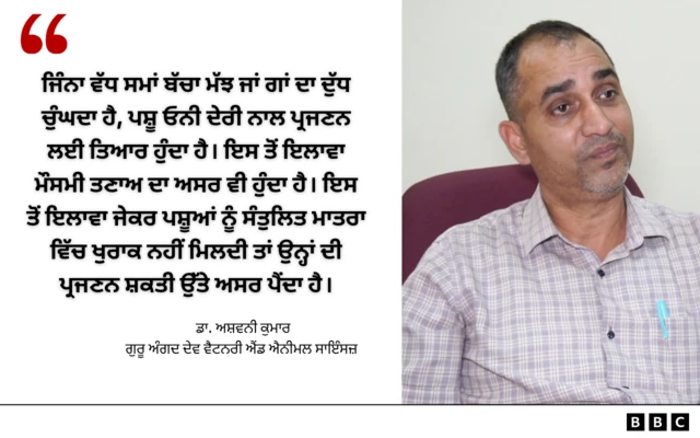 ਡਾ. ਅਸ਼ਵਨੀ ਕੁਮਾਰ