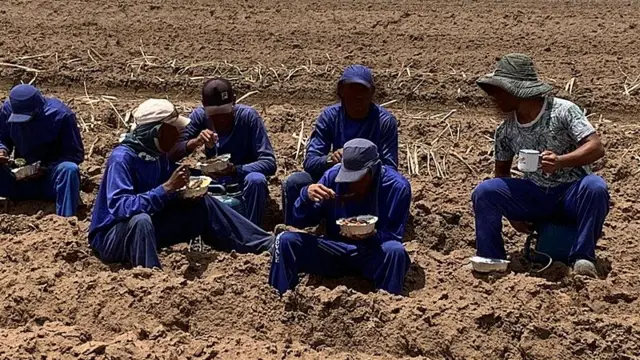 उखुबारीमा श्रमिकहरू