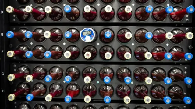 질병 치료에 제대혈을 사용할 수 있는 분야가 늘어나면서, 의료 자원으로서 기증된 제대혈이 가진 잠재적 가치도 커지고 있다