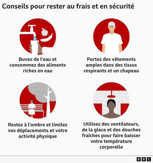 Conseils pour rester au frais : buvez de l'eau et consommez des aliments riches en eau ; portez des vêtements amples dans des tissus respirants et un chapeau ; restez à l'ombre et limitez vos déplacements et vos efforts physiques ; utilisez des ventilateurs, de la glace et des douches fraîches pour faire baisser la température corporelle.