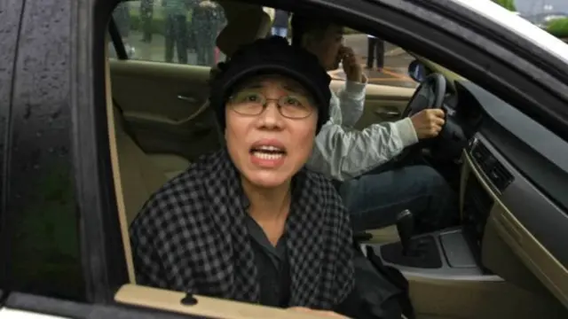 刘晓波妻子刘霞