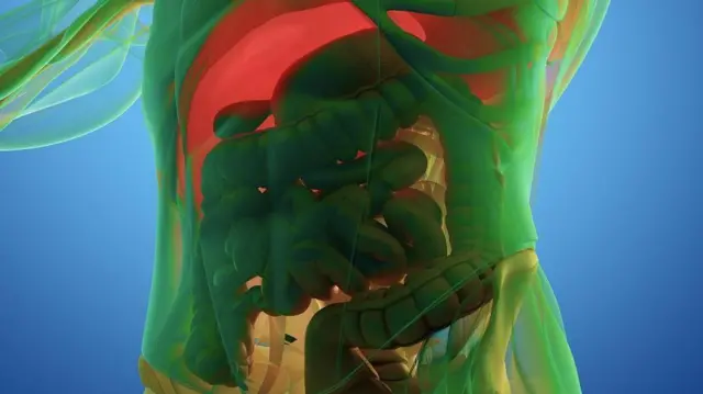 Osoo nyaata hin argatiin yoo turamu maaltu ta'a?