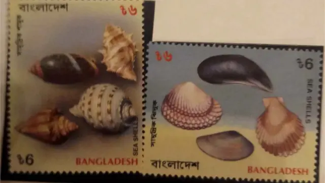 ঢাকার ইশরাত সামাদের পাঠানো ডাকটিকেটের ছবি।