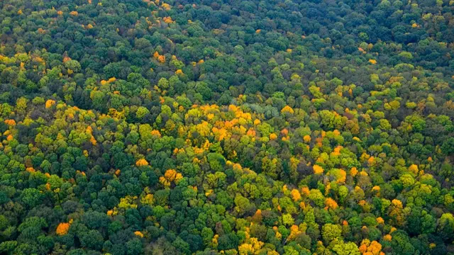 Файна Юкрайна