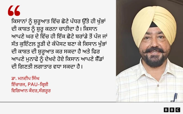 ਮਨਦੀਪ ਸਿੰਘ