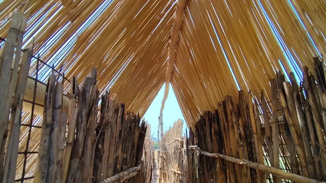 ਕੁੱਪੀਆਂ 