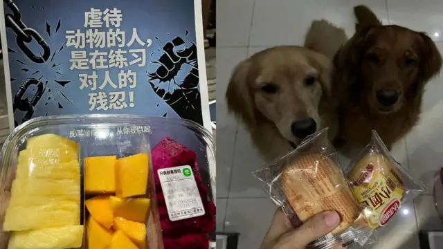 小錢(化名)表示自己也有養狗,在6月8日晚上到達現場聲援。