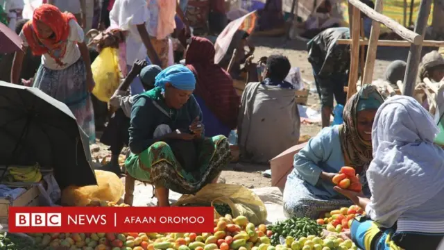 Daldala qinxaaboo Itoophiyaatti 