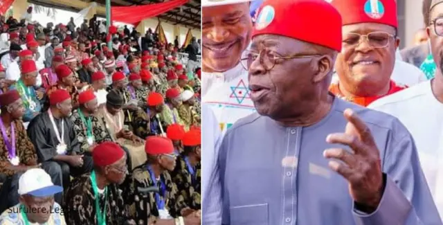 Ohaneze Ndigbo na Bola Tinubu