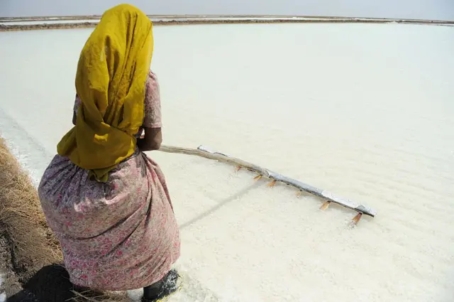 બીબીસી ગુજરાતી