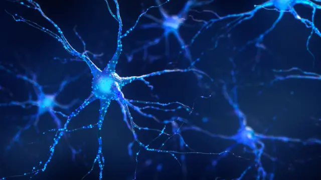 Una neurona