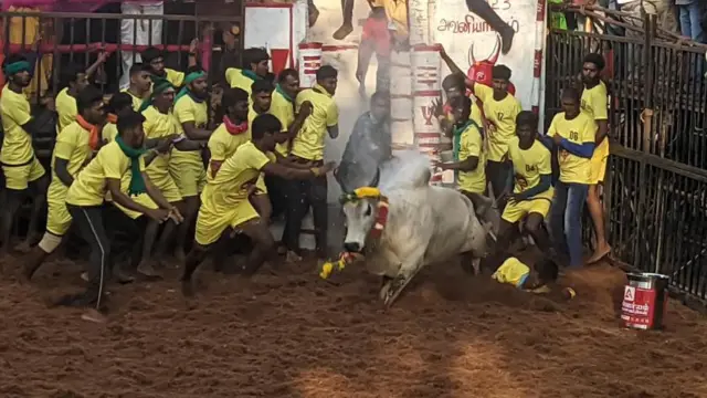 யாருக்கும் பிடிபடாத வெள்ளையன்